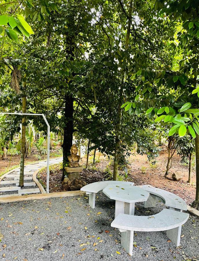 Kayyalas Courtyard Thrissur エクステリア 写真