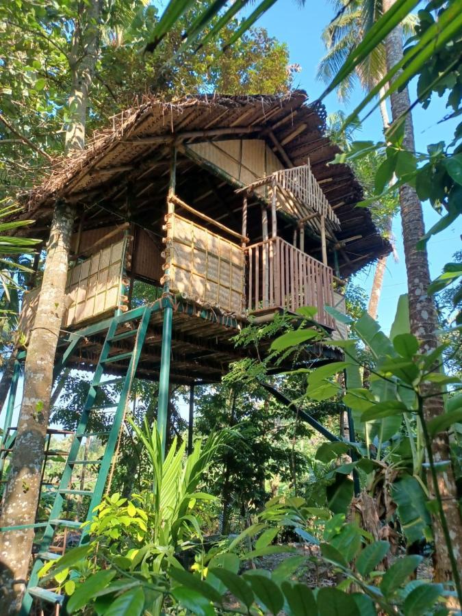 Kayyalas Courtyard Thrissur エクステリア 写真